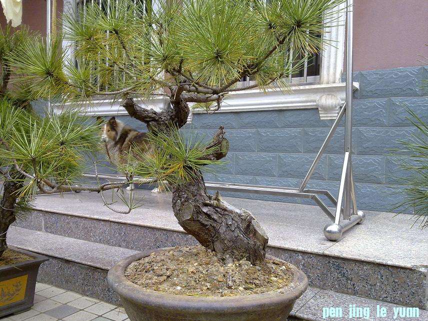20111118041.jpg