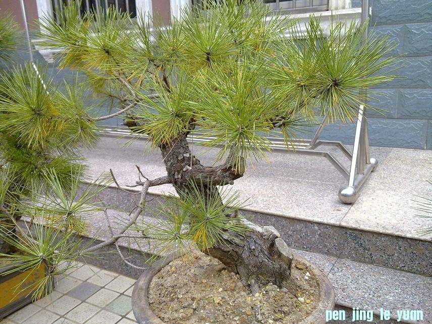 20111118044.jpg