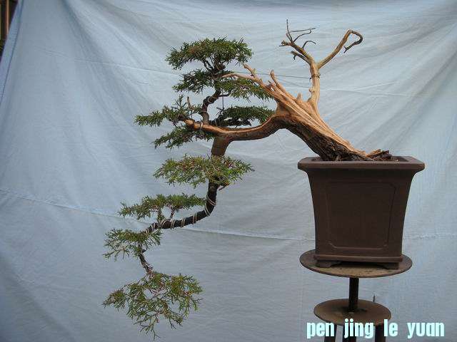 С DSCN3716.jpg