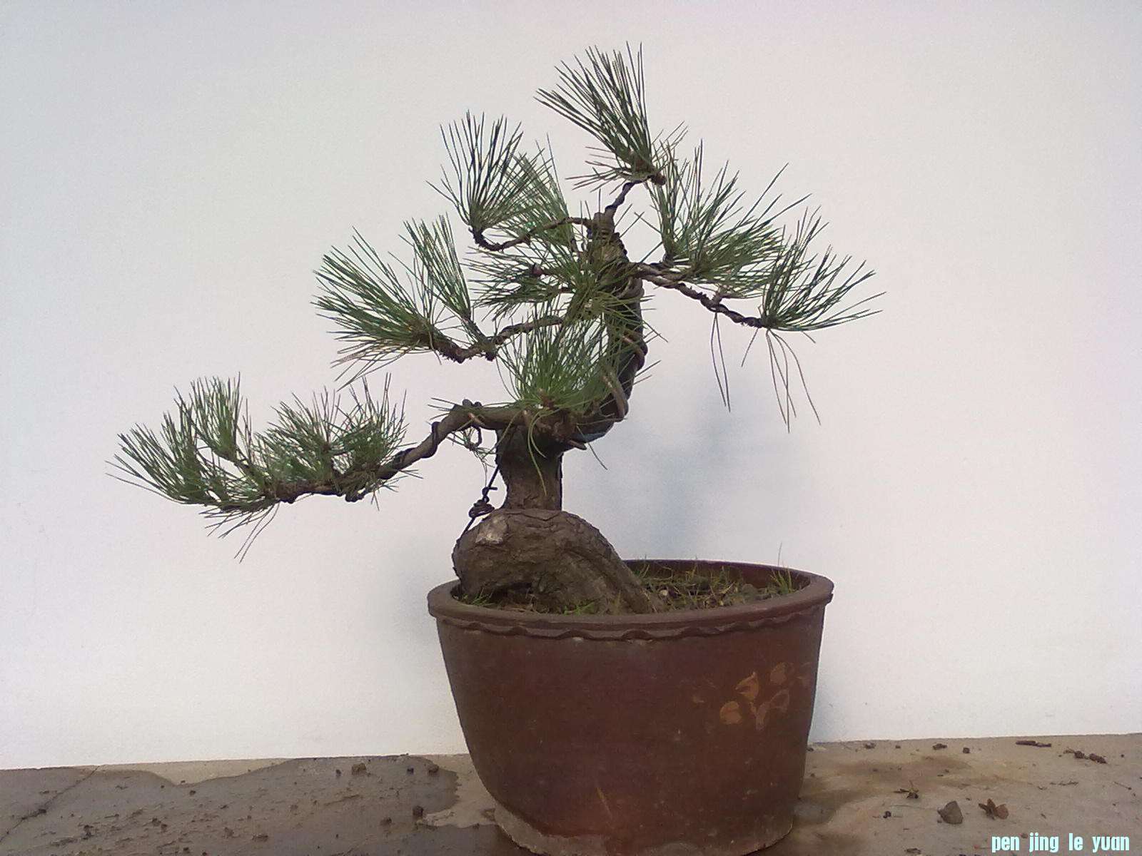 201111211077.jpg