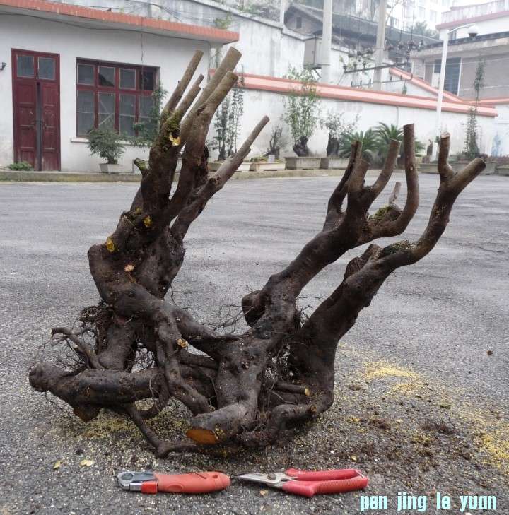 ÷ѻ2.jpg