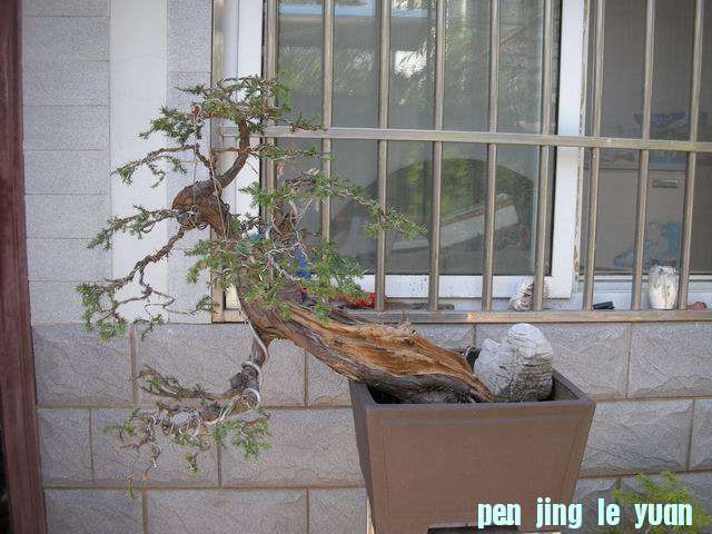 С DSCN2350.jpg