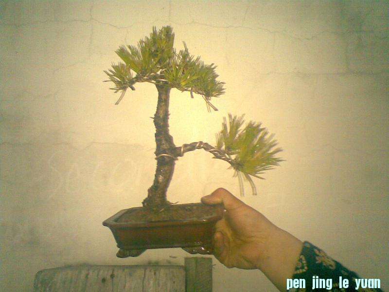 20111126.jpg