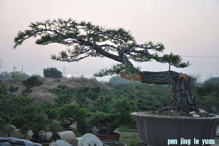 Ƭ 004.jpg