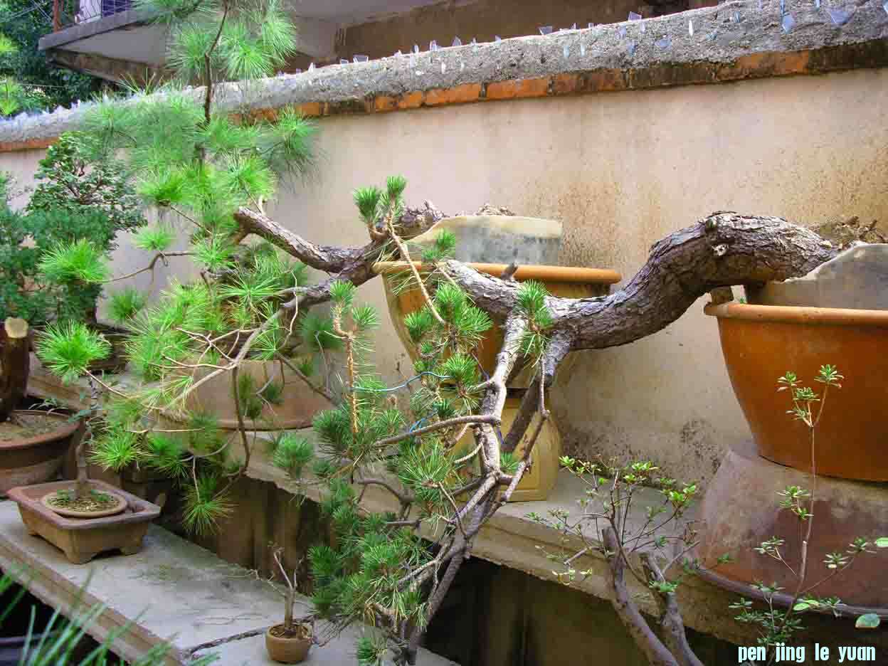 SDC12372.JPG
