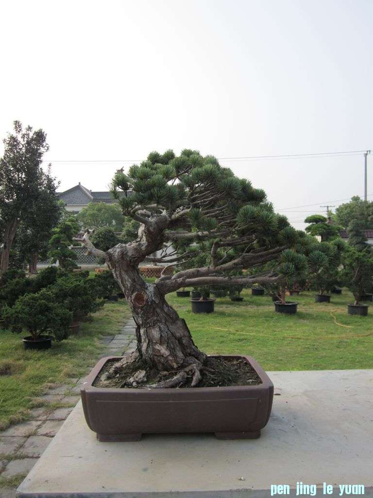 Ƭ 126.jpg