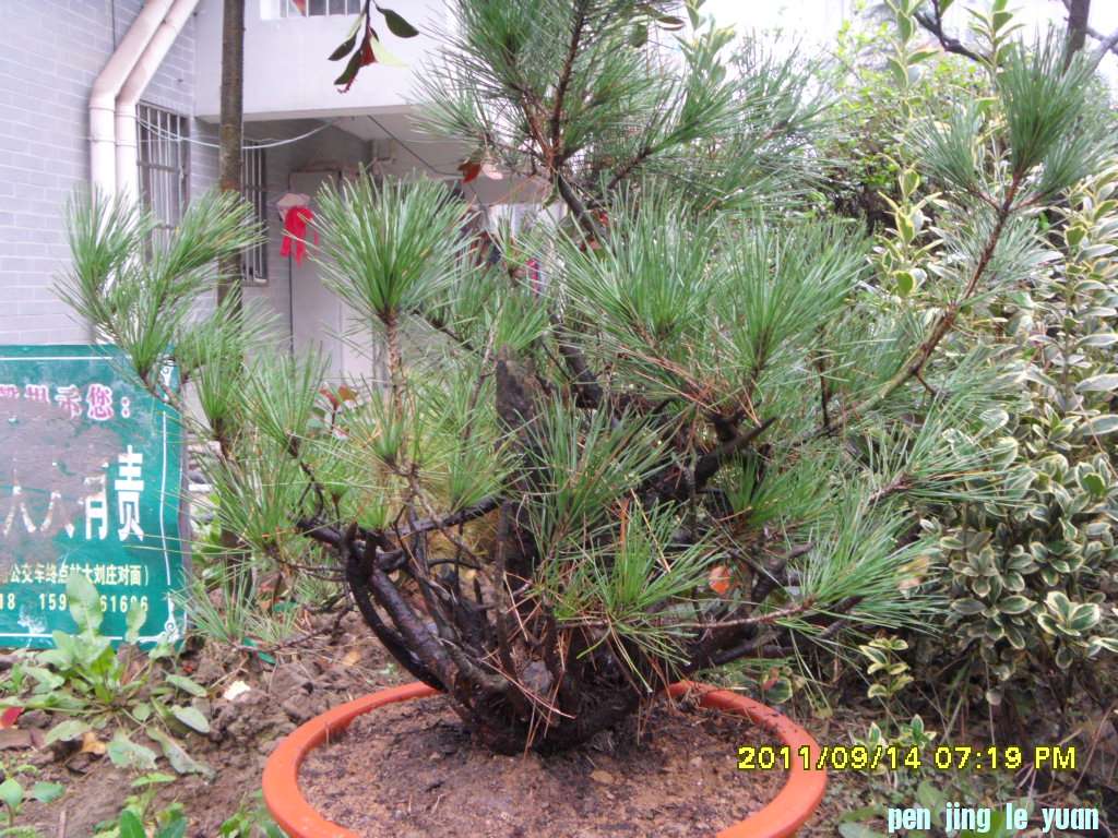 SDC11544.JPG
