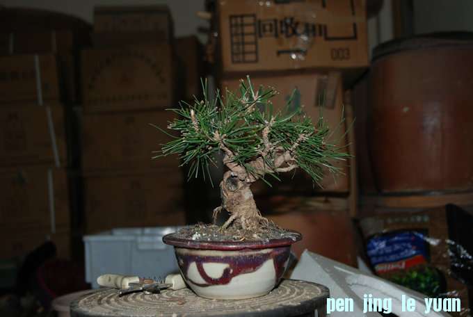 DSC_0422.JPG