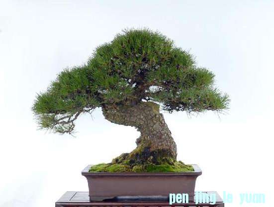 408906.jpg