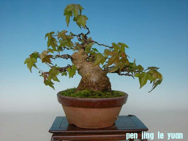 100609-091.jpg
