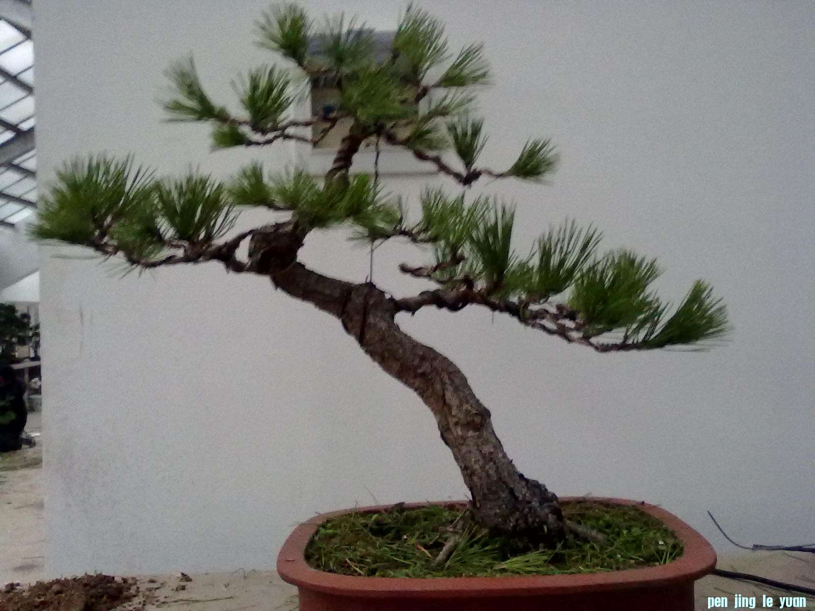 201111301111.jpg