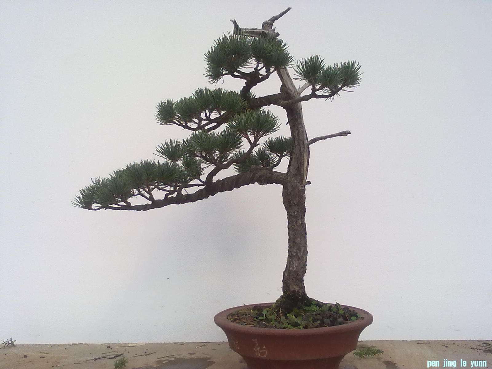201111281093.jpg