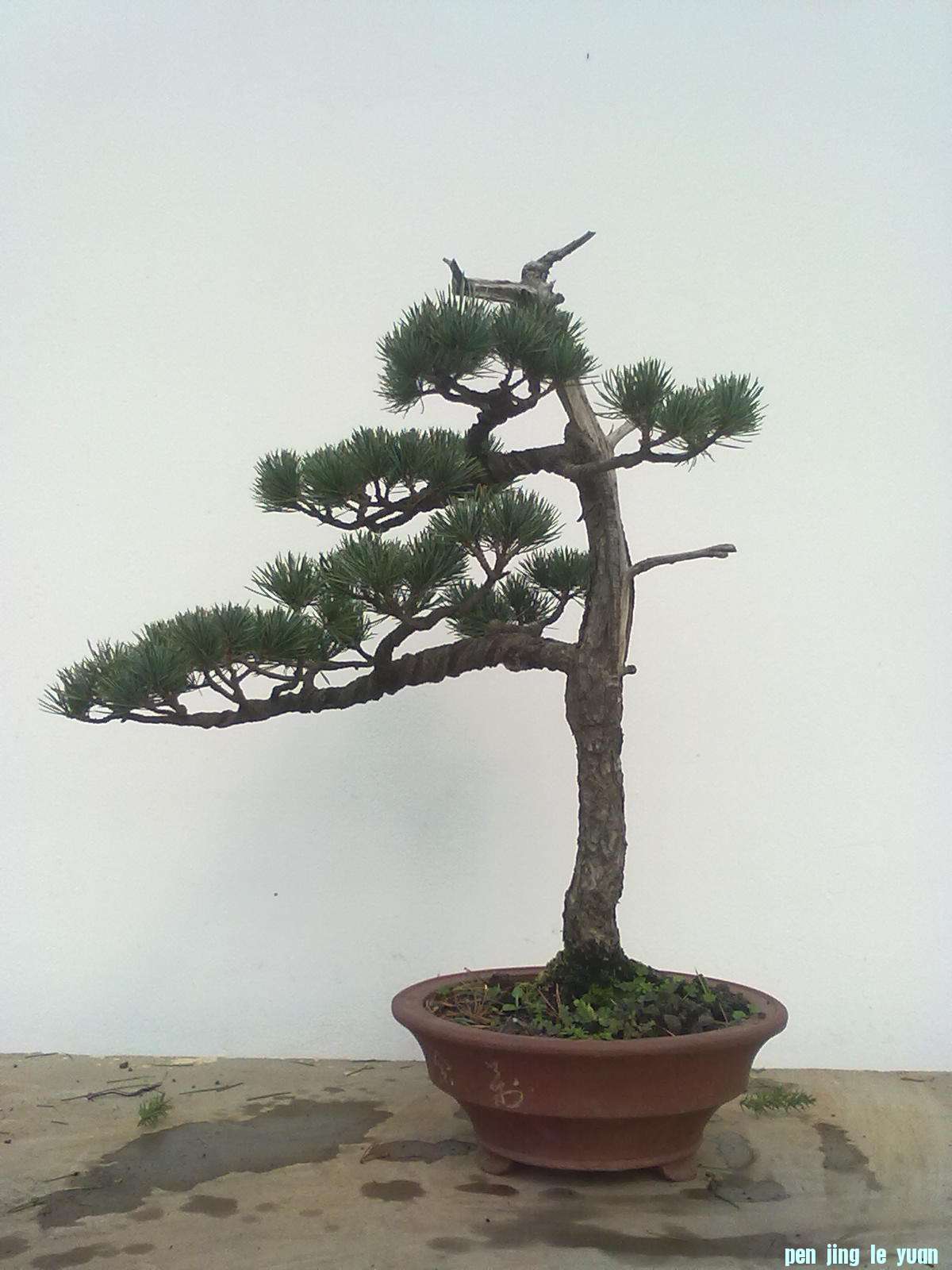 201111281094.jpg
