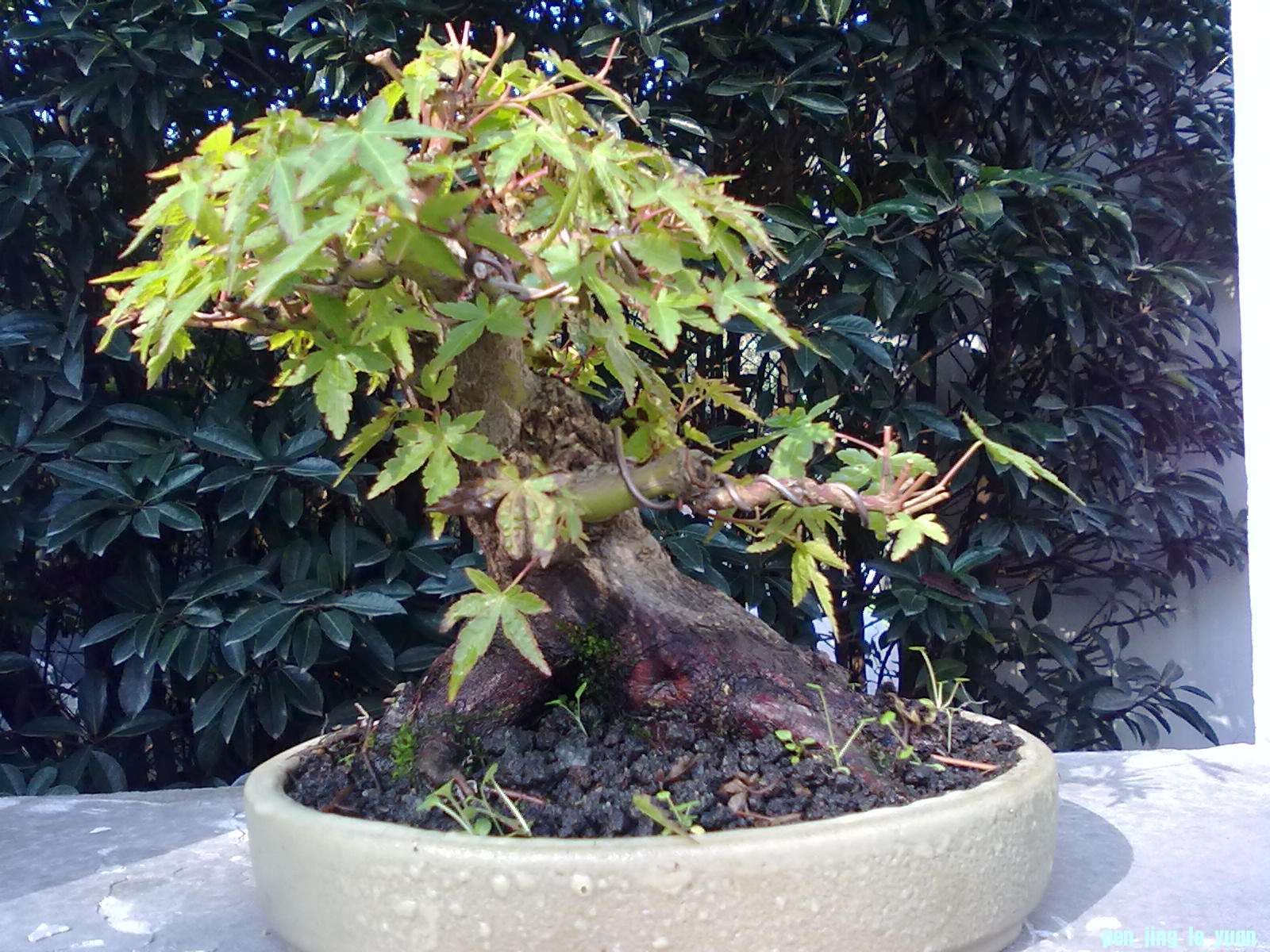 201112011112.jpg