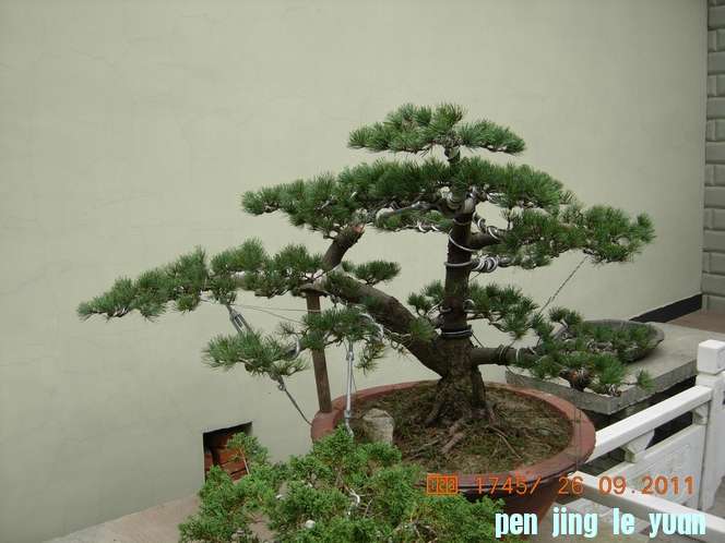 DSCN4431.JPG