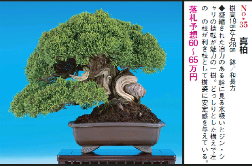 PrtScn20111203232701_.jpg