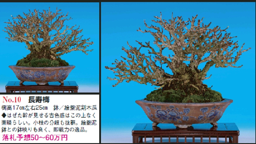 PrtScn20111203233109_.jpg