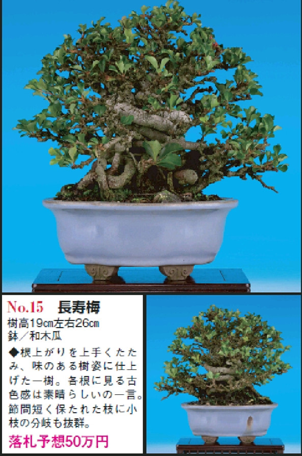 PrtScn20111203233430_.jpg