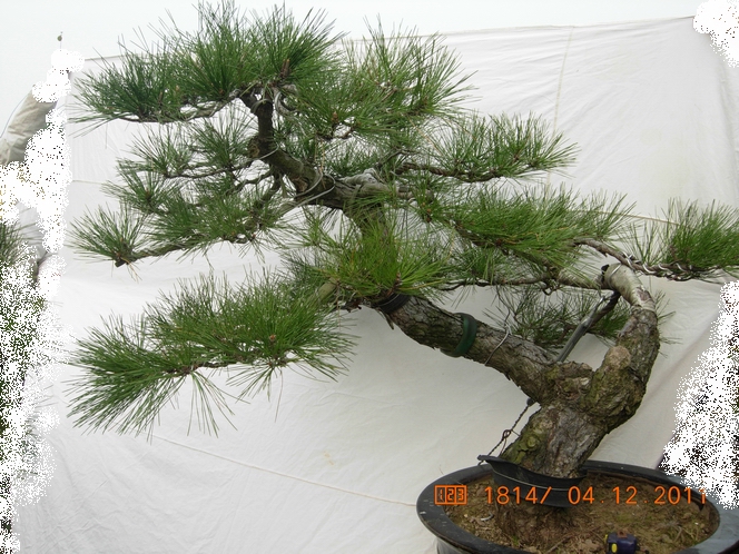 DSCN4764.JPG