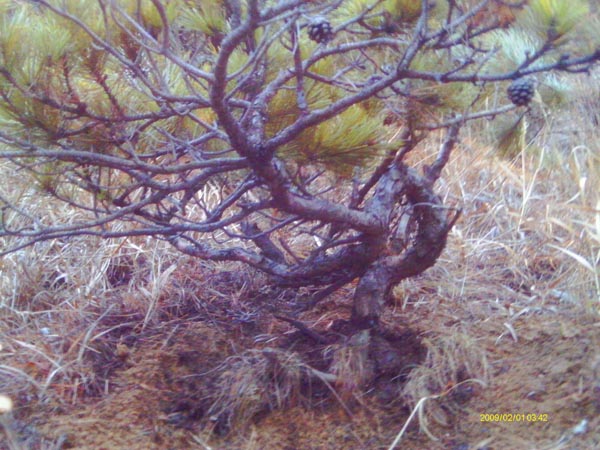 IMAG0048.JPG