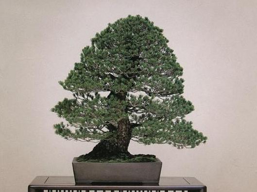 735975.jpg