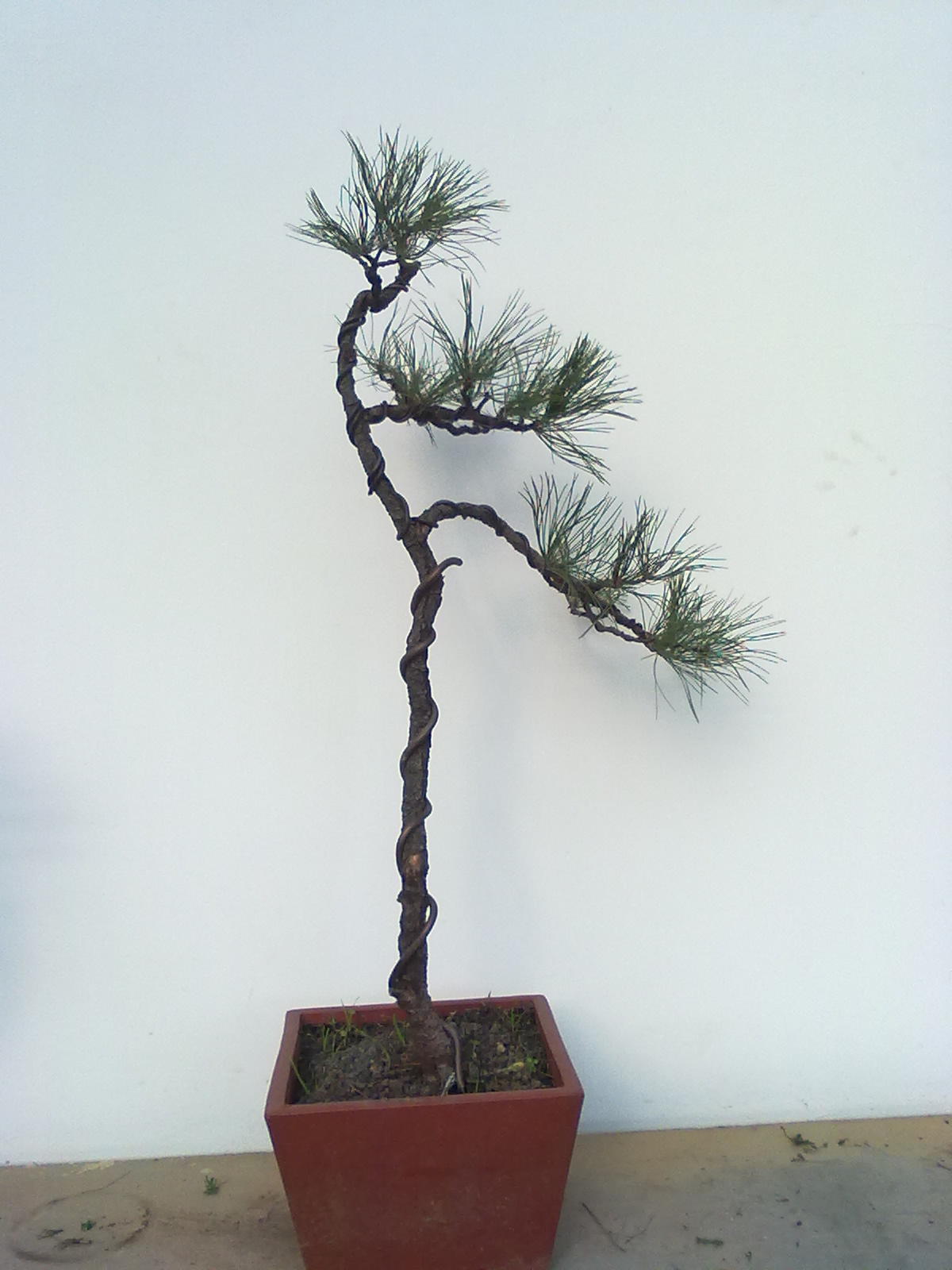 201112081137.jpg
