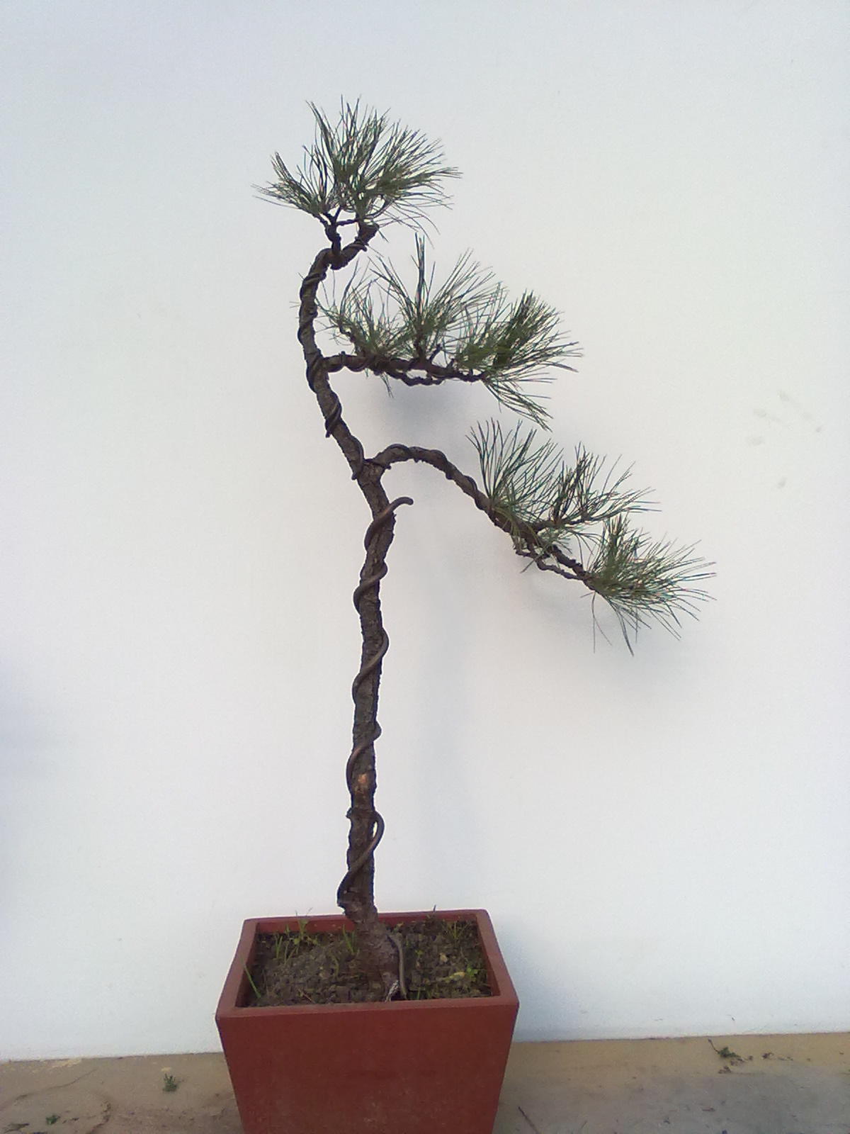 201112081138.jpg