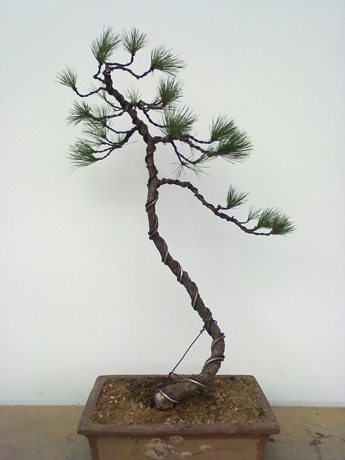 201112081139.jpg
