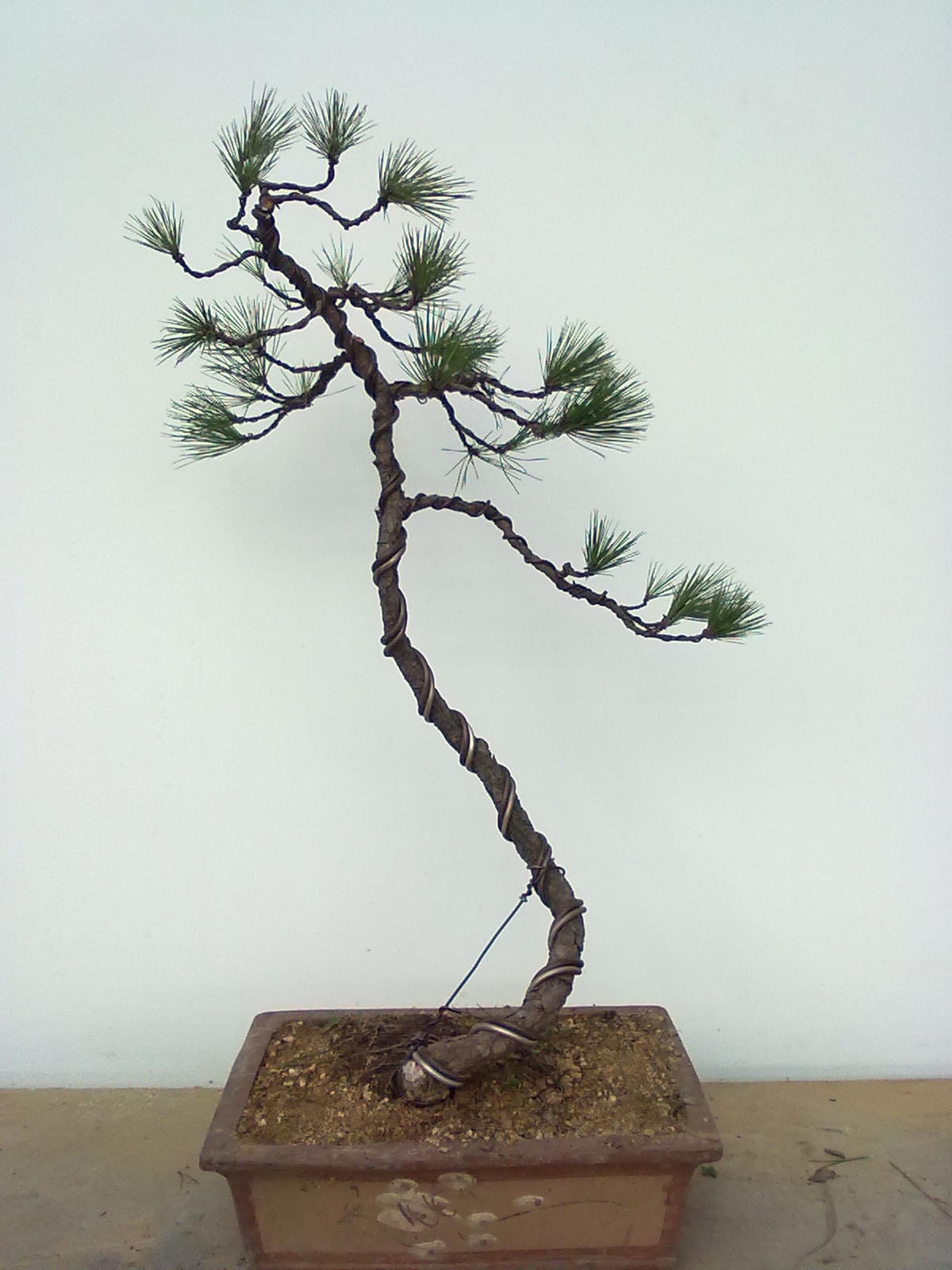 201112081140.jpg