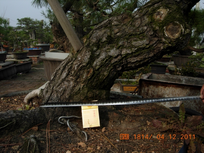DSCN4706.JPG