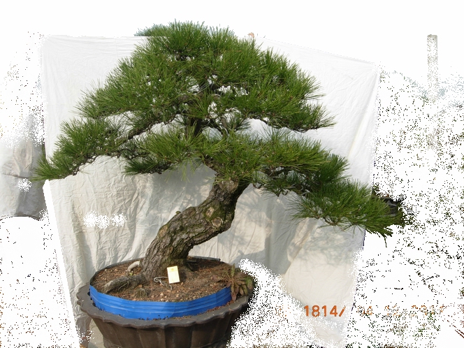 DSCN4707.JPG