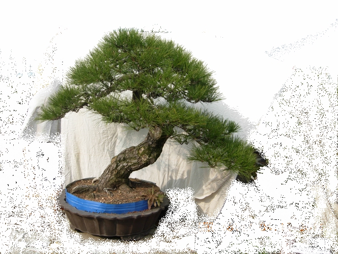DSCN4709.JPG
