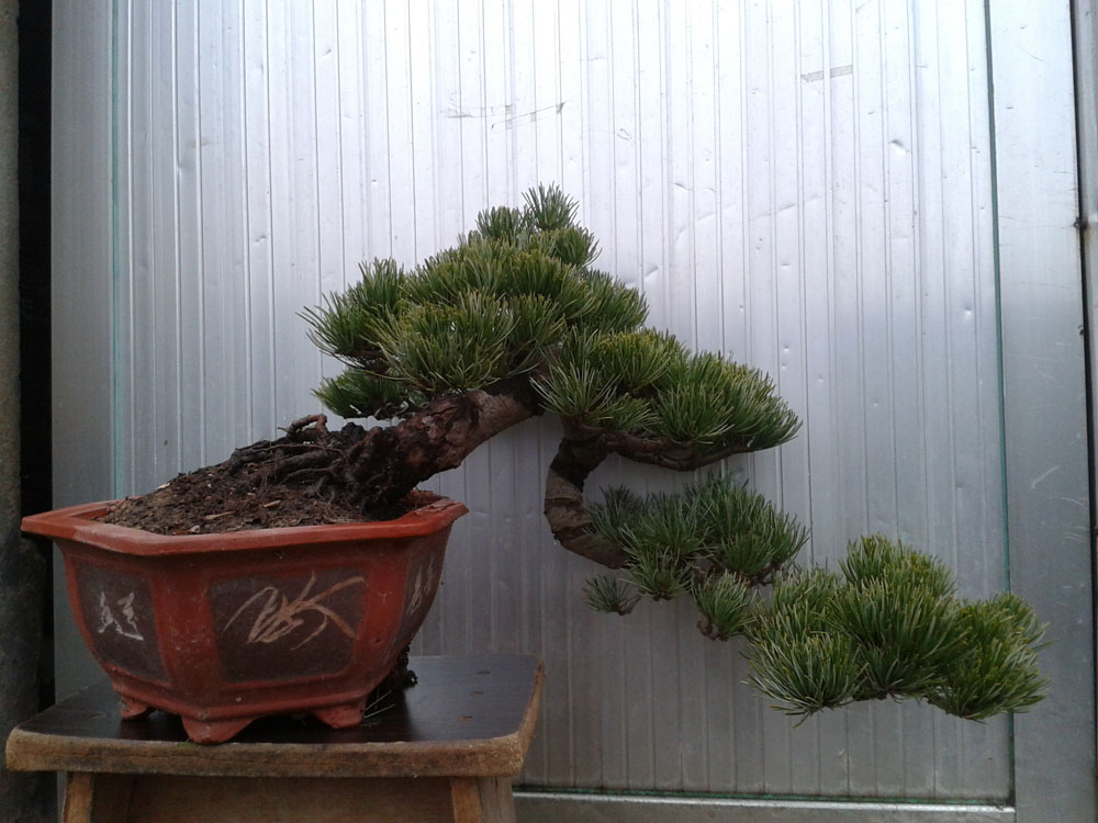 2011-12-08 11.02.15.jpg