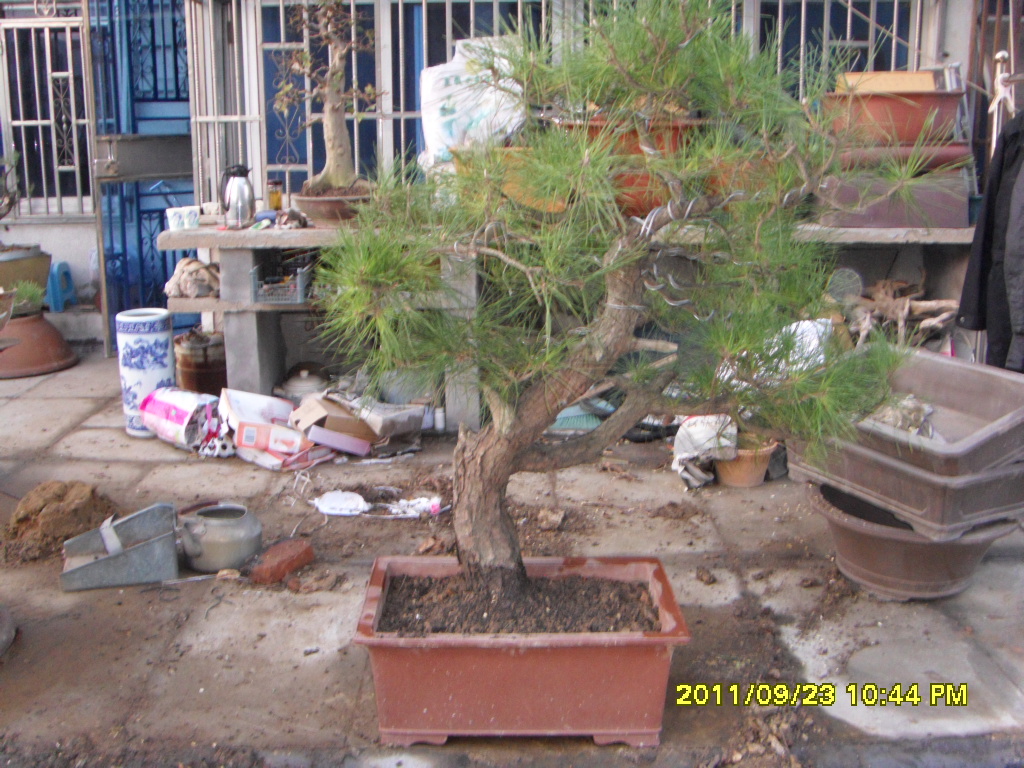 SDC11576.JPG