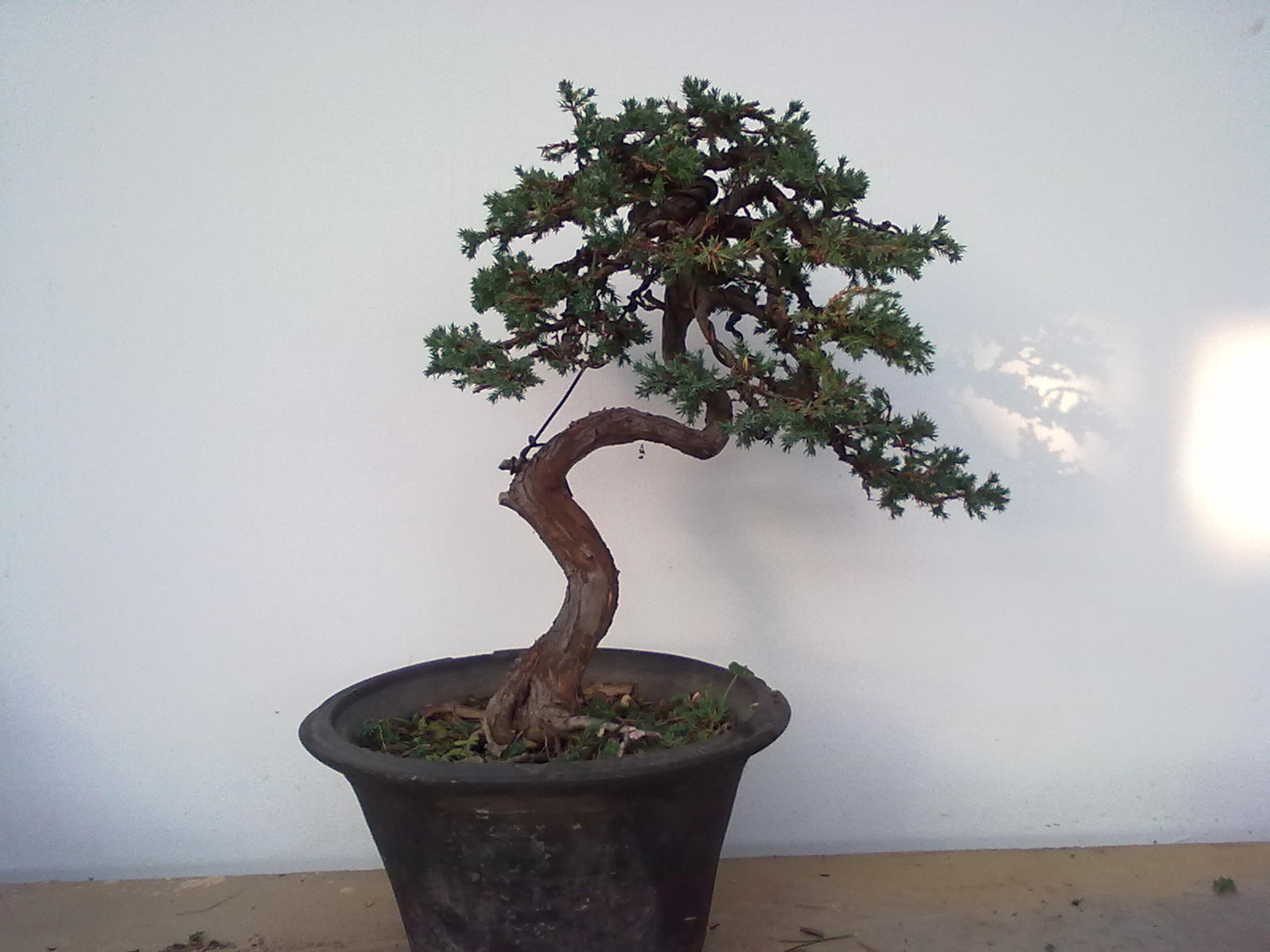 201112091141.jpg