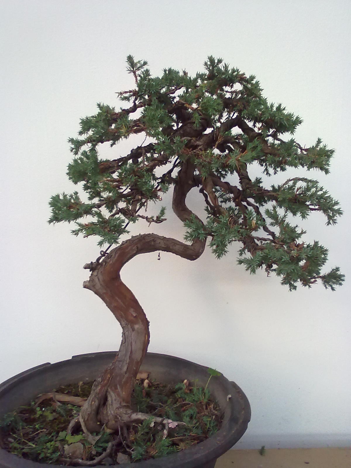 201112091142.jpg