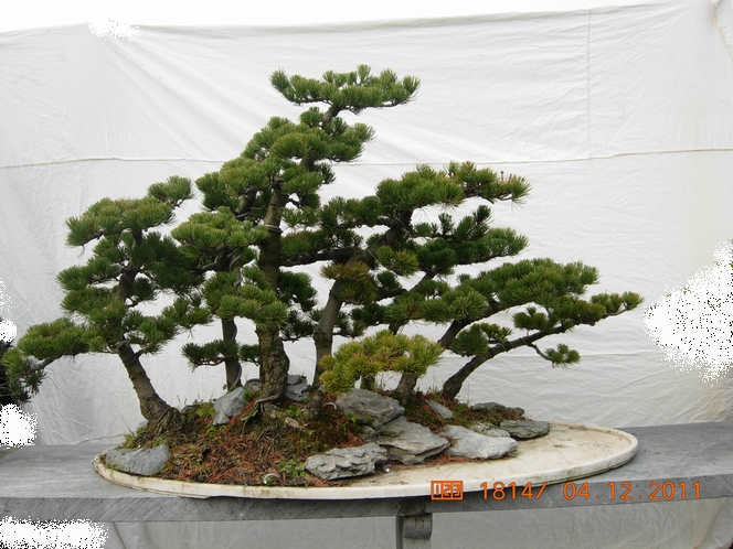 DSCN4780.JPG