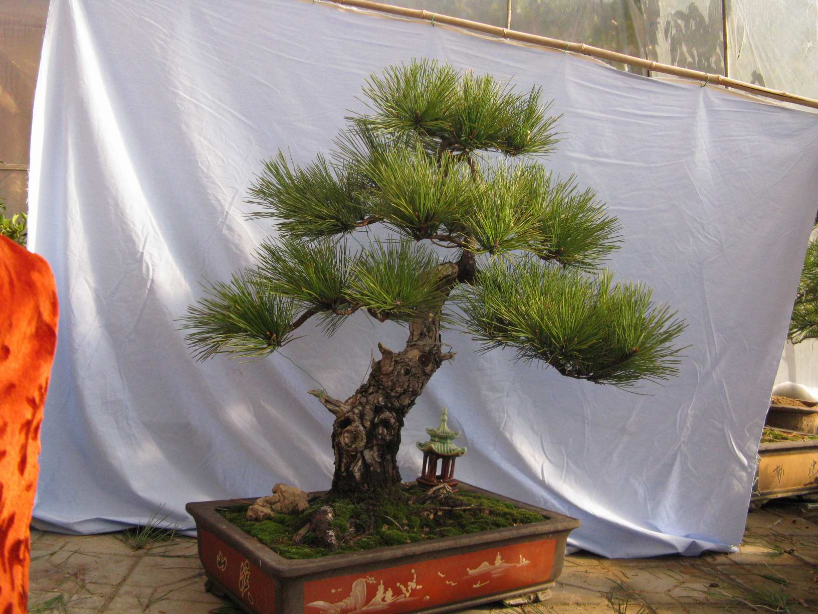 Ƭ 038.jpg