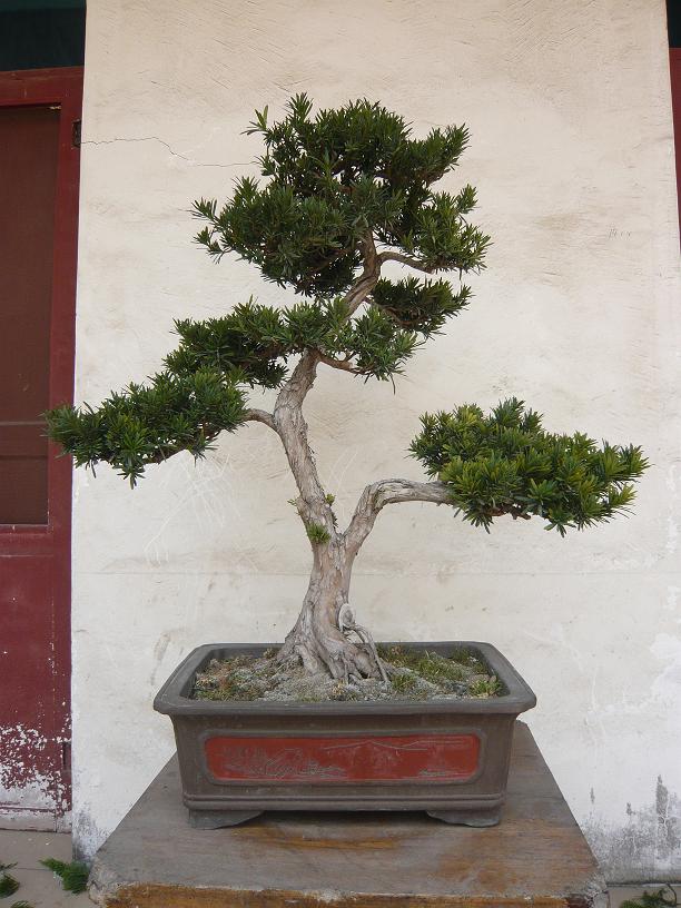 P1020743.JPG