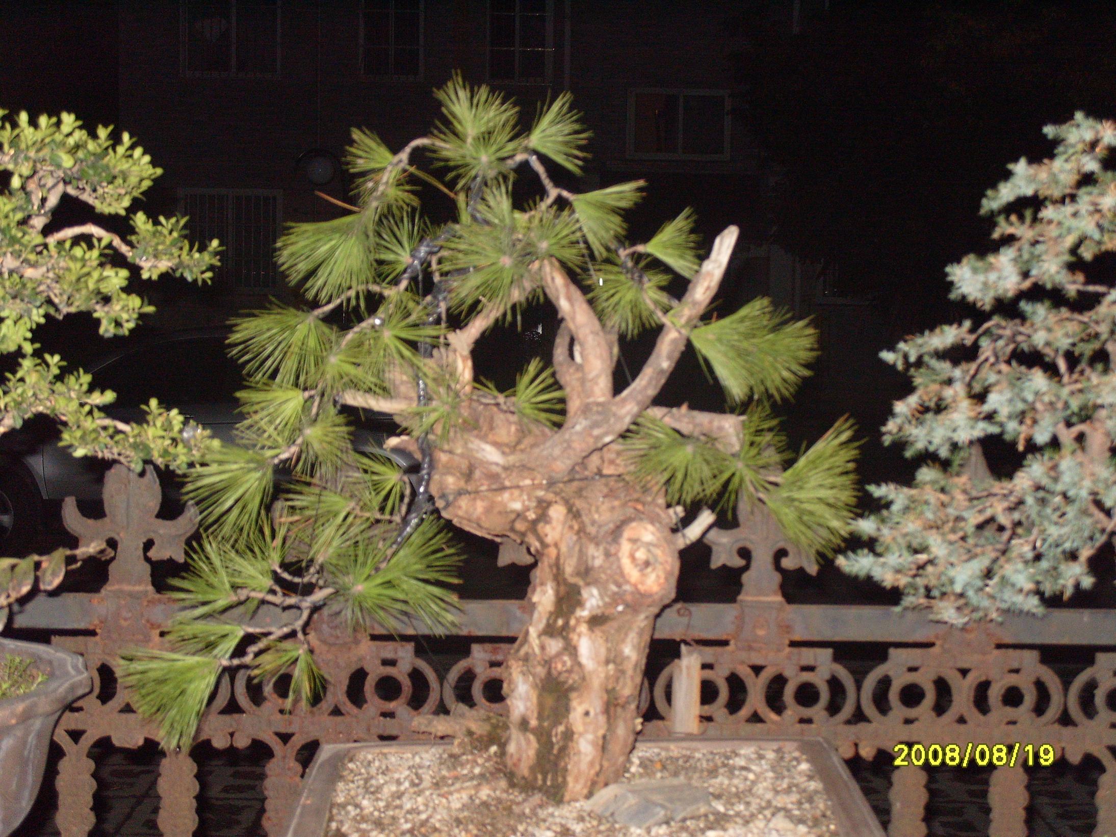 S1053869.JPG