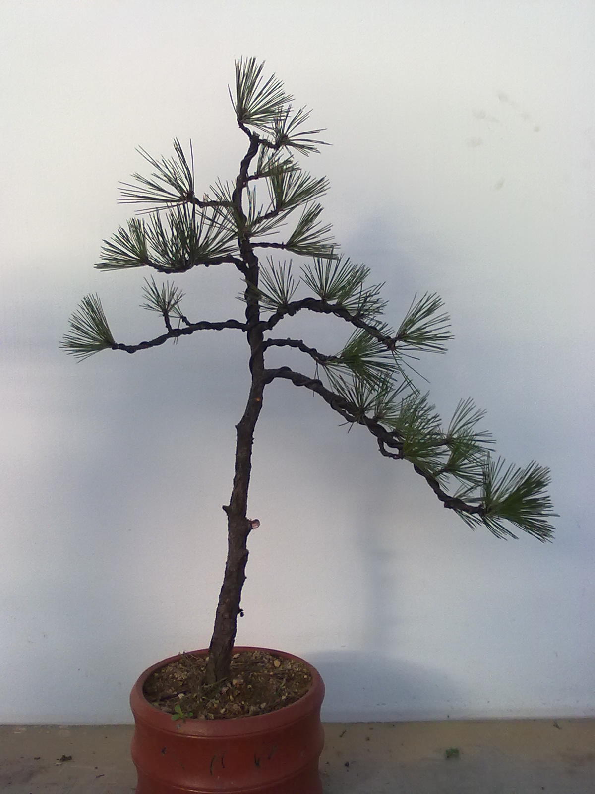 201112111145.jpg