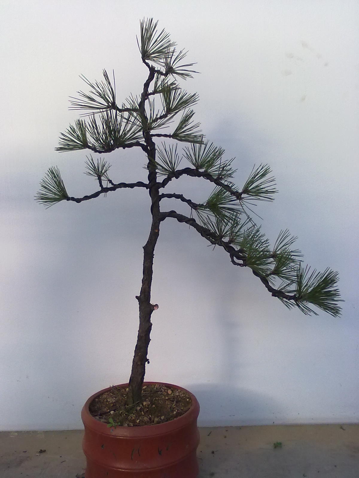 201112111144.jpg