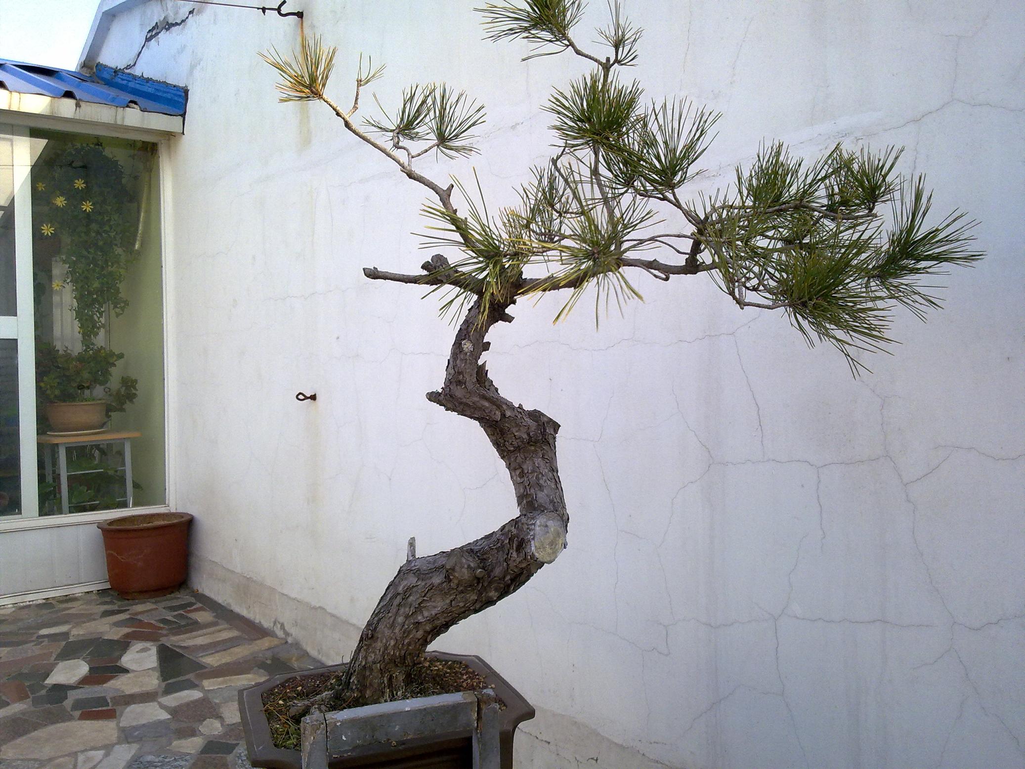 20111212024.jpg