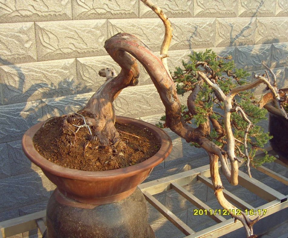 SDC12568.JPG