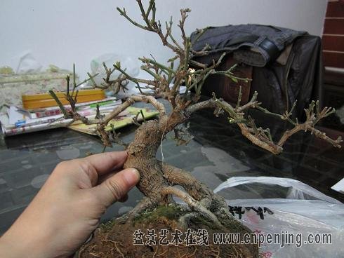 144626v1tpm4a14vkdydmb[1].jpg