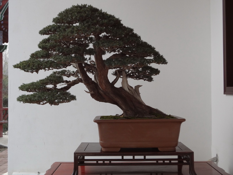 Ƭ 099.jpg