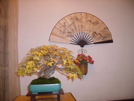 S5003234.JPG