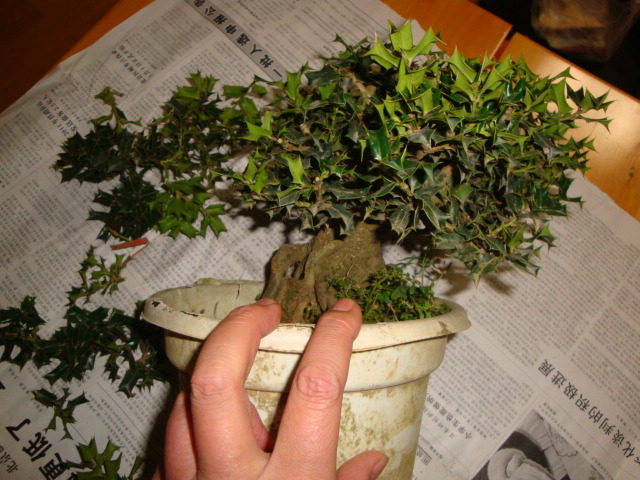 DSC07104.JPG