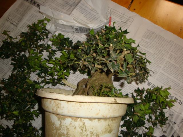 DSC07107.JPG