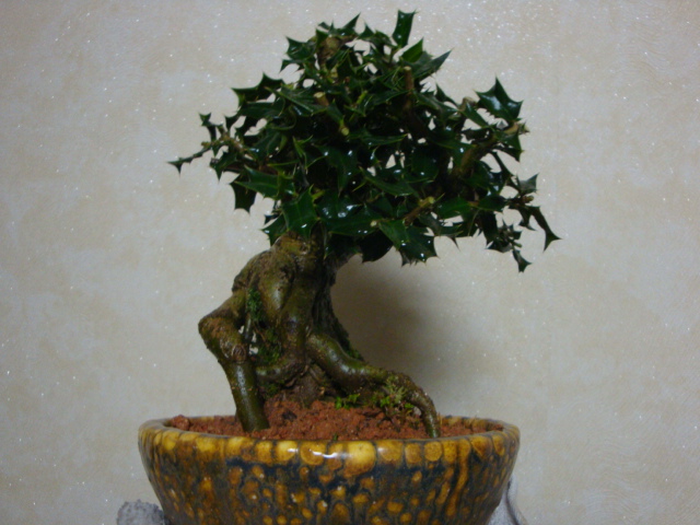DSC07113.JPG